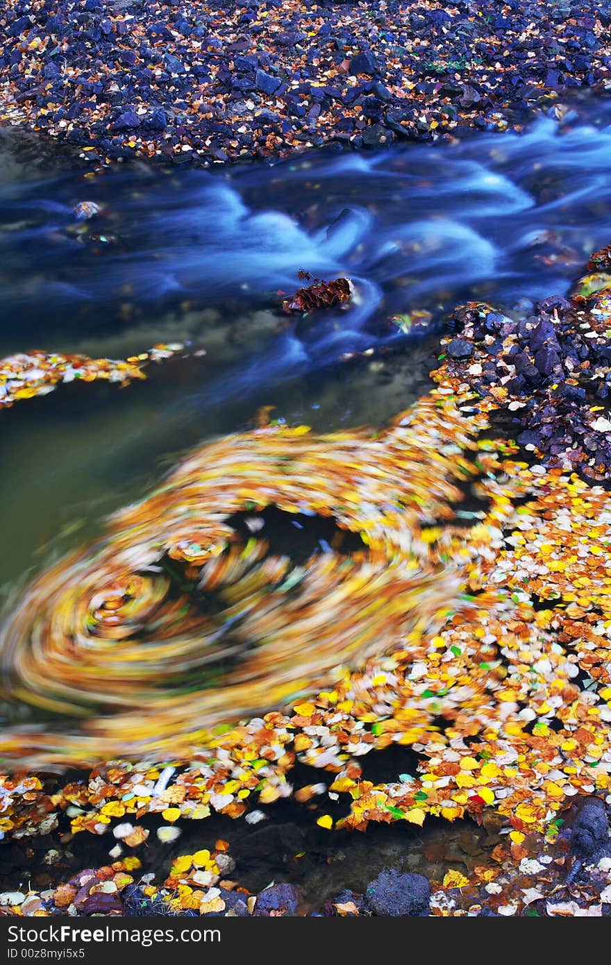 Autumn water