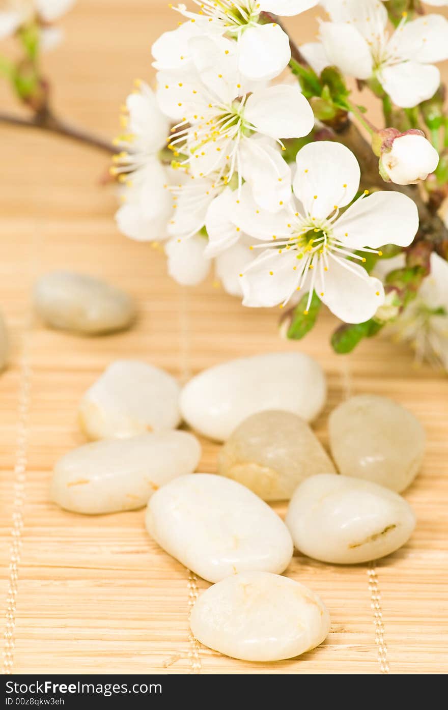 Smooth bright pebbles and cherry tree branch on bamboo. Smooth bright pebbles and cherry tree branch on bamboo