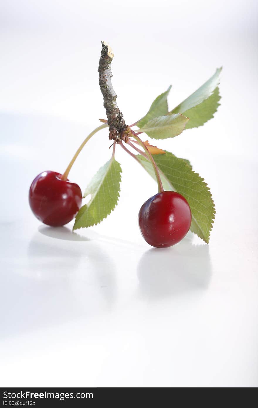 Sour cherries on white background. Sour cherries on white background