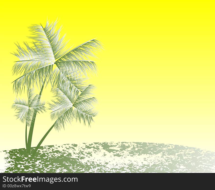 Tropical landscape with palms, vector illustration