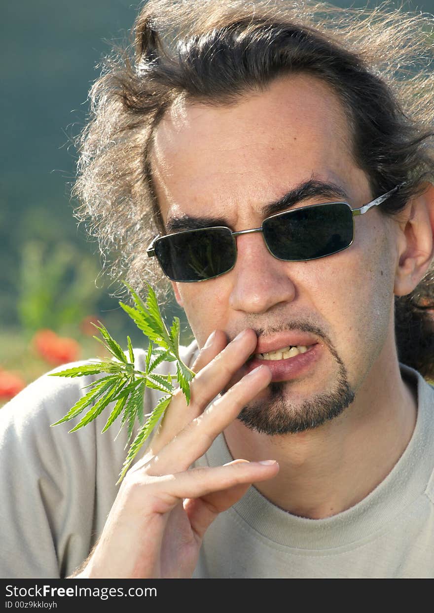 Portrait of man holding hemp leaves near mouth like he smokes. Portrait of man holding hemp leaves near mouth like he smokes