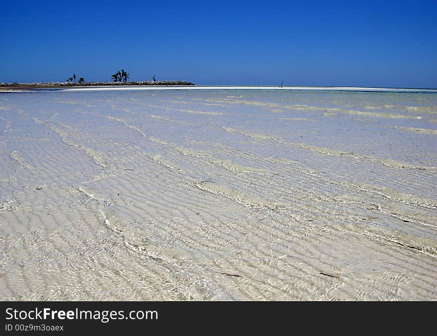 Shallow shore of crystal waters on Grand Bahama Island beach, The Bahamas.