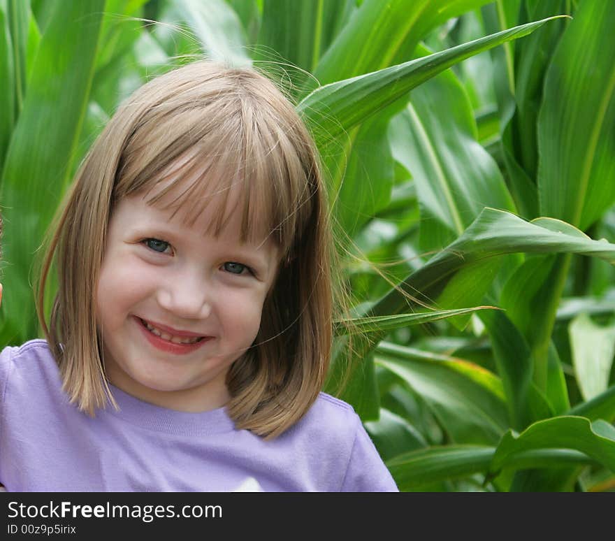 Cute little girl in the middle of a corn field. Cute little girl in the middle of a corn field