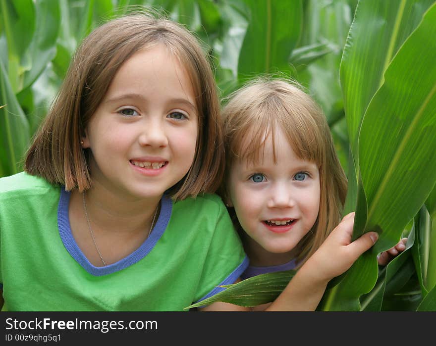 2 girls playing in a corn field. 2 girls playing in a corn field