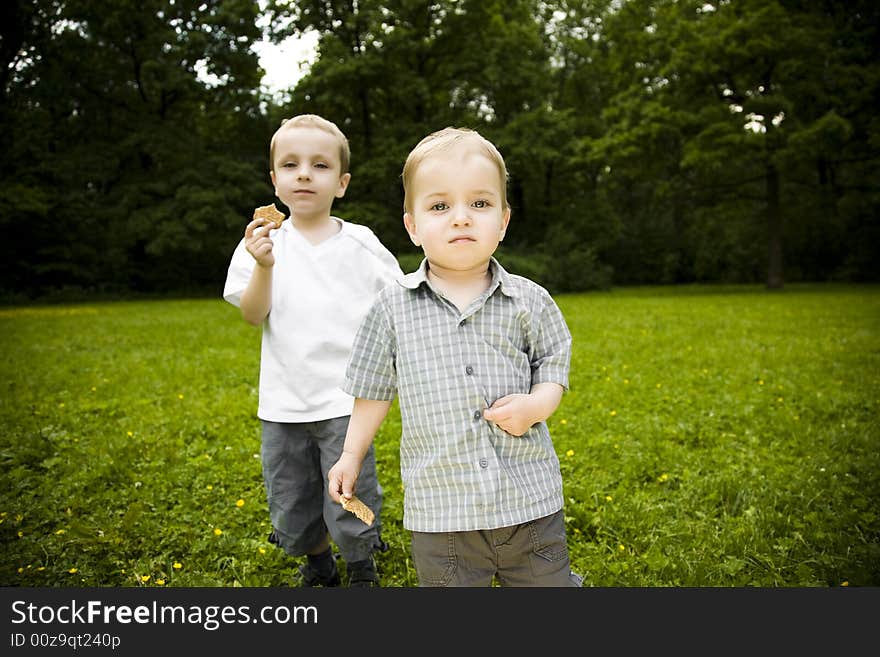 Outdoors Lunch. Two Brothers On The Meadow.