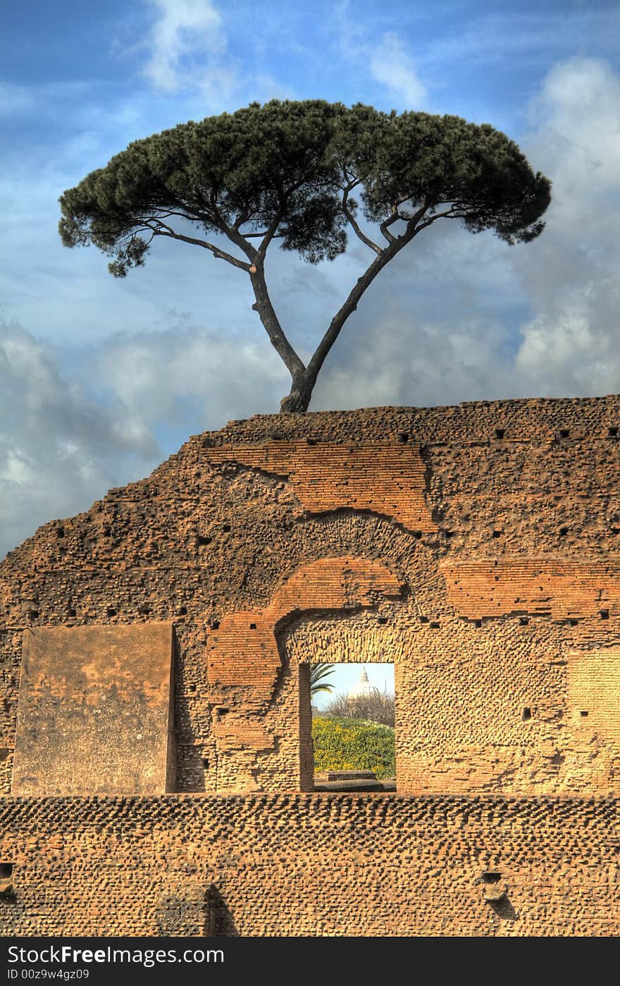 Lone tree over the ruins of a roman palace. St-Peters Basilica is visible through the window. Lone tree over the ruins of a roman palace. St-Peters Basilica is visible through the window.