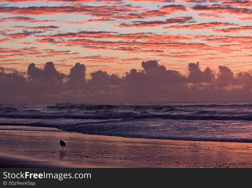 Sunset over a beautiful sandy beach, Very clear and bright perspective with clouds layers that accentuate the horizon, bird silhouette standing on the beach. Sunset over a beautiful sandy beach, Very clear and bright perspective with clouds layers that accentuate the horizon, bird silhouette standing on the beach