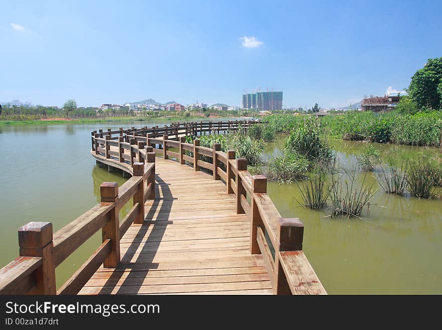 Wood path on water