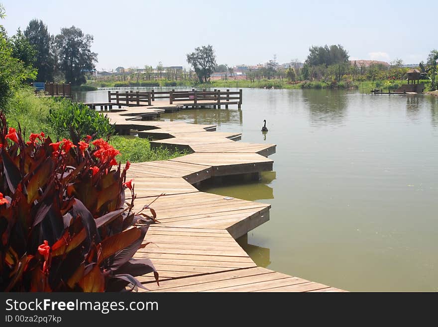 Near city there is a marshy park, it's part of wood path. Near city there is a marshy park, it's part of wood path.