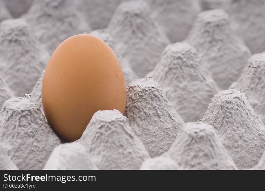 One brown egg in cardboard containe. One brown egg in cardboard containe