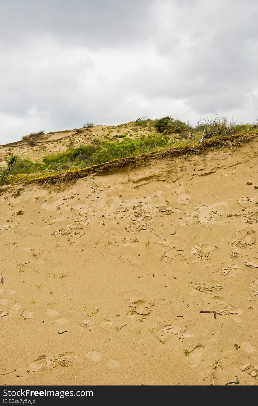 Dunes on the North Sea coastline. The Netherlands.