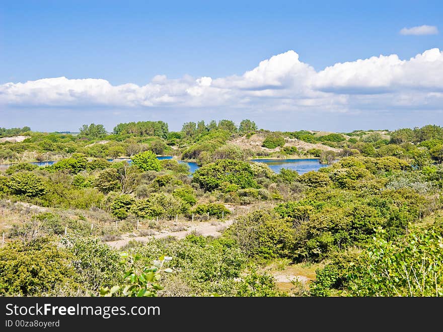 Beautiful lake in dunes. Bushes along the bank.