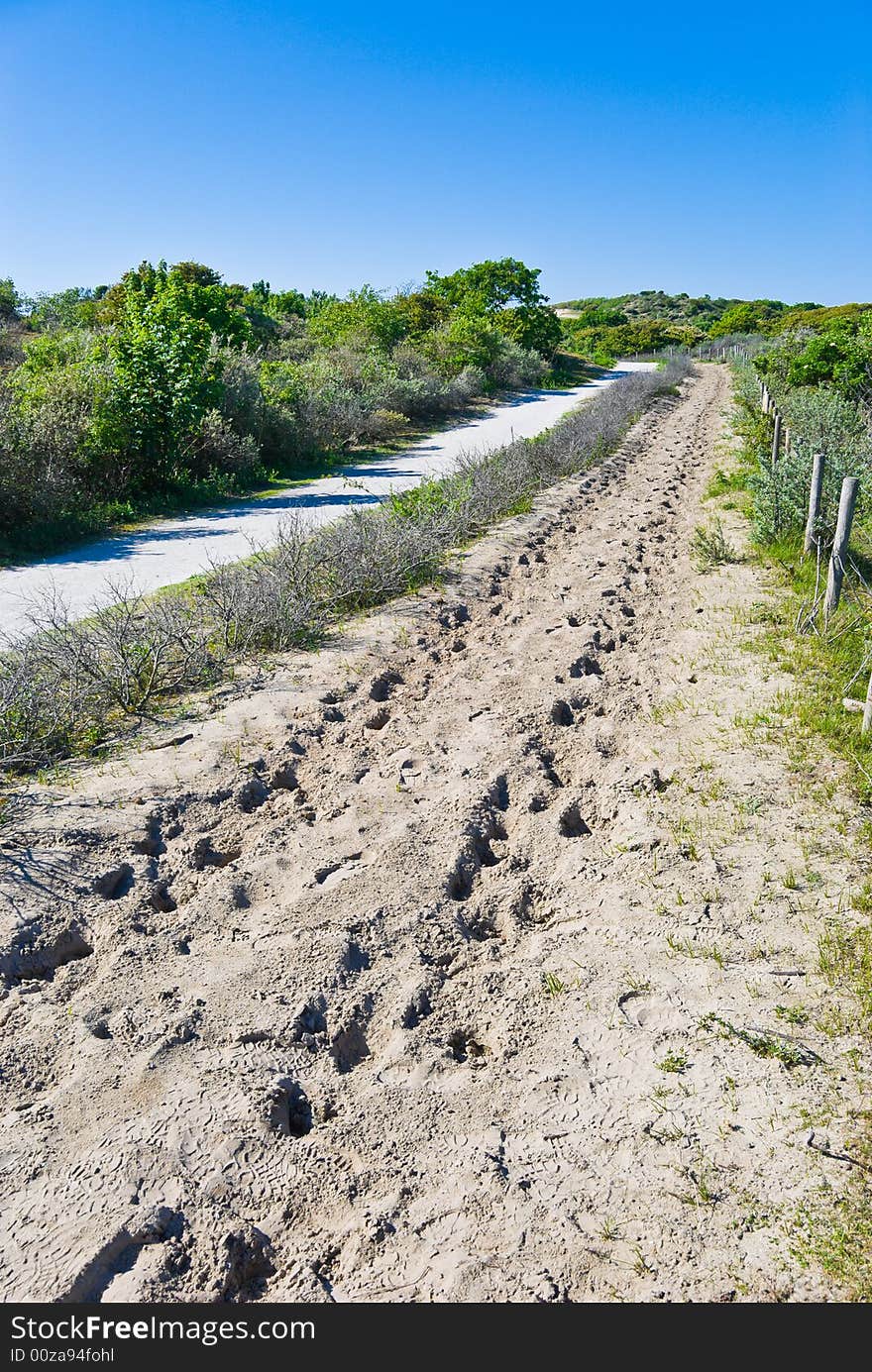 Road in Dunes