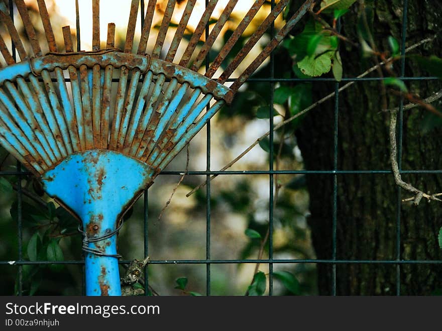 Old blue rake abbandoned in a garden