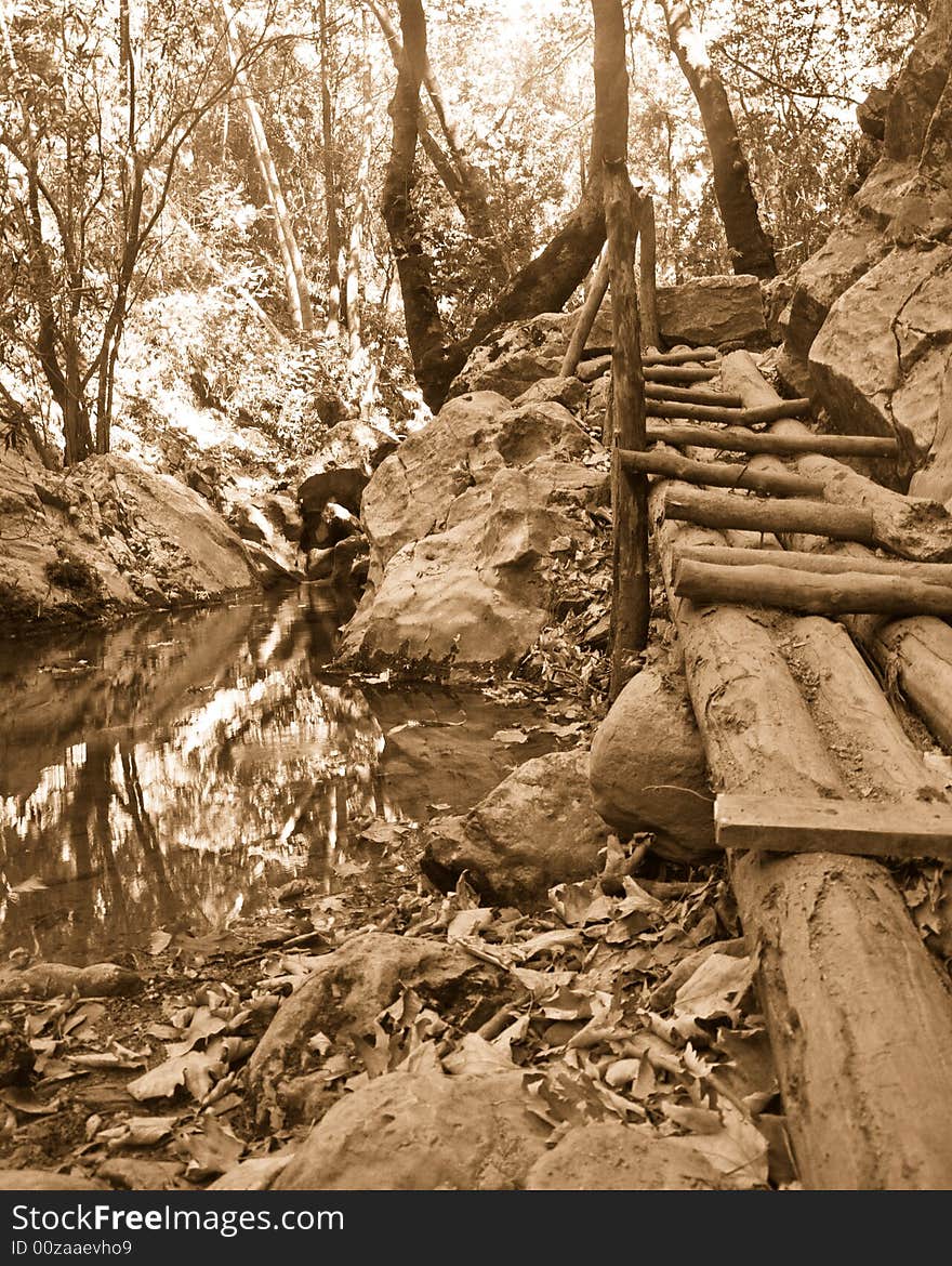 Wooden bridge in a forest in sepia. Samos island, Greece.