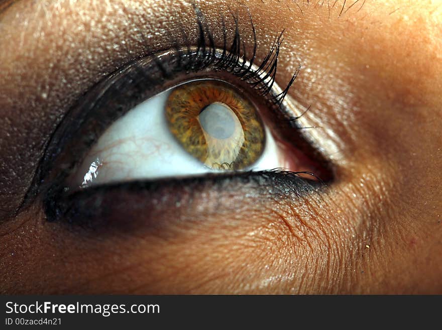 Very sharp and detail macro of eye