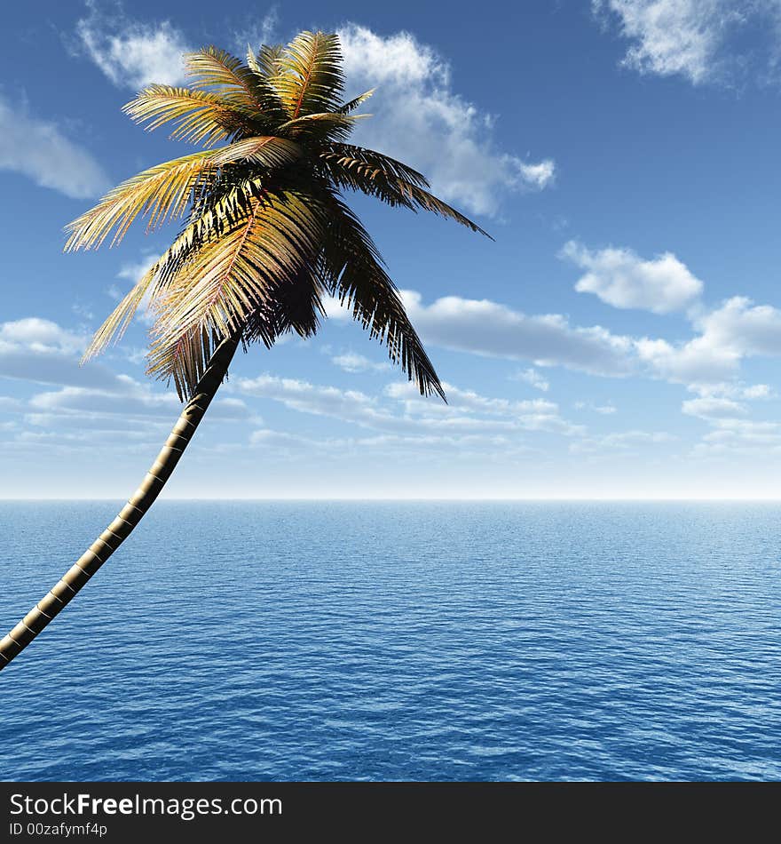 Coconut palm and blue sky with clouds