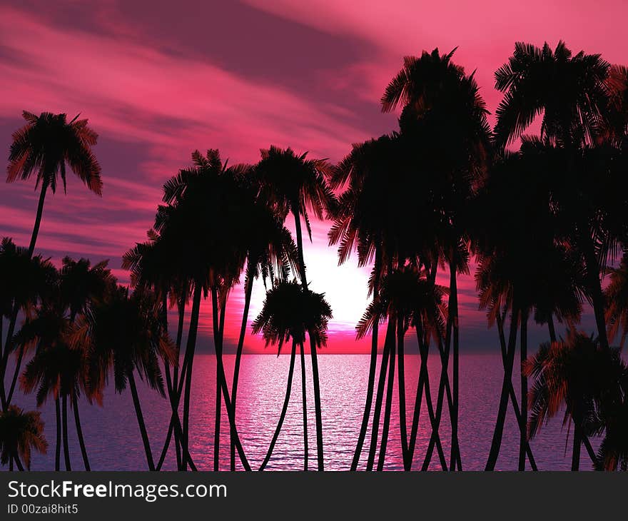 Tops of palm trees on a background of a sunset sky. Tops of palm trees on a background of a sunset sky