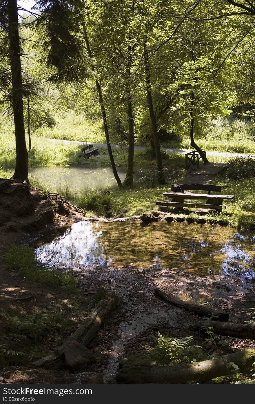 A park with lake and bench