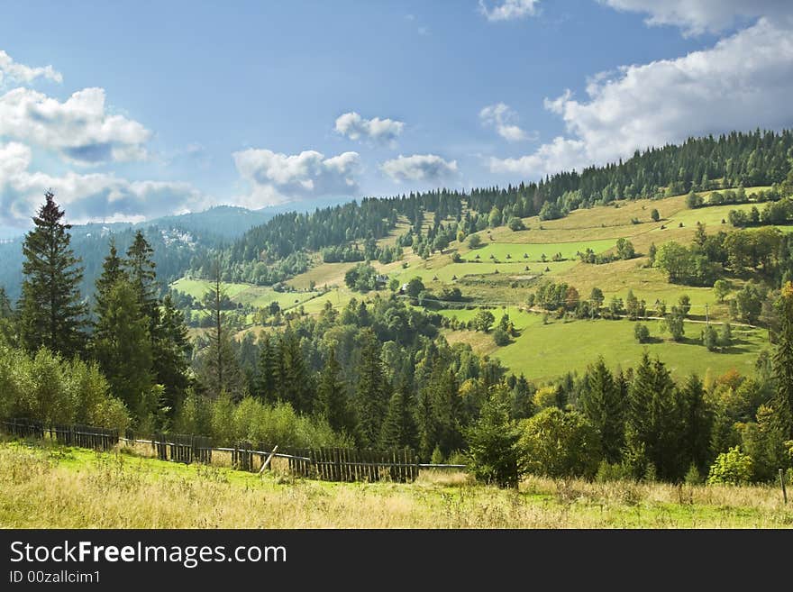 Wonderful landscape with a forest and cloudy sky.