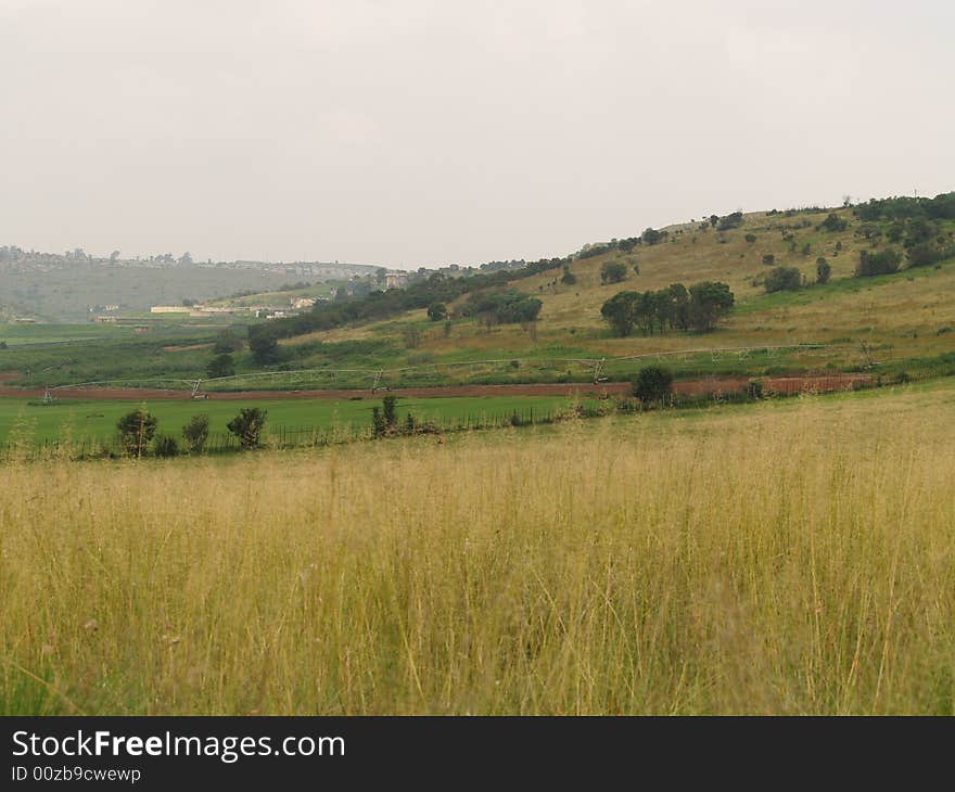 I took this picture at Krugersdorp Nature Reserve ,South Africa. I took this picture at Krugersdorp Nature Reserve ,South Africa.