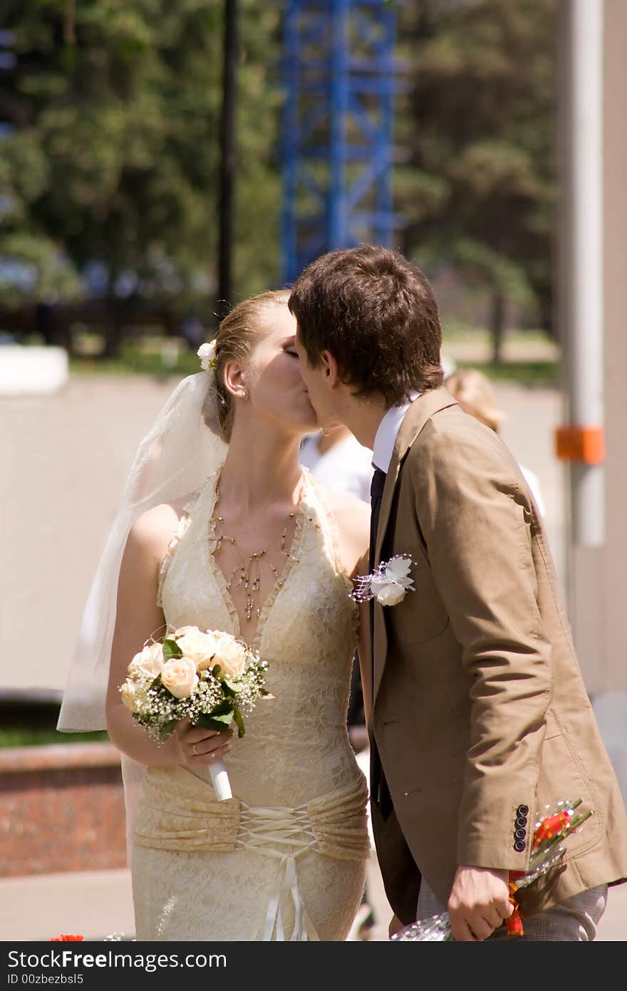 Wedding portrait of a newly-married couple. The groom kisses the bride