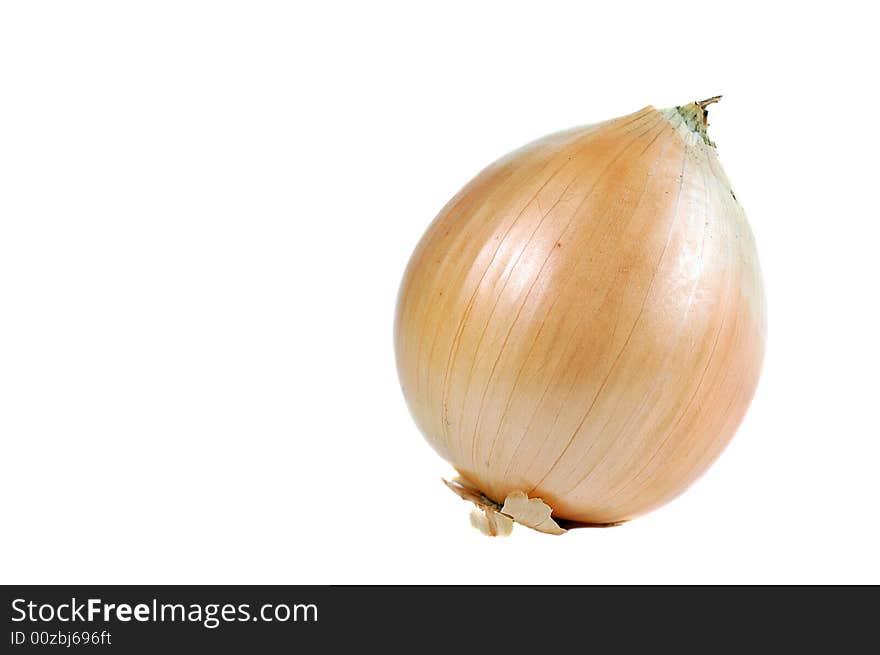 Single Onion