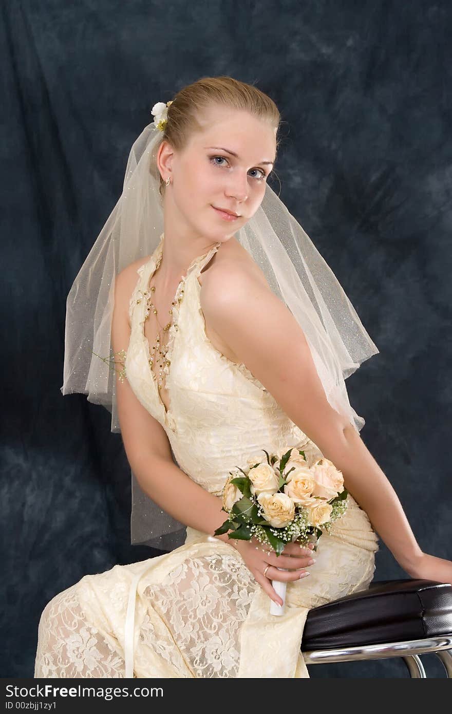 Wedding portrait of the bride, on a dark background