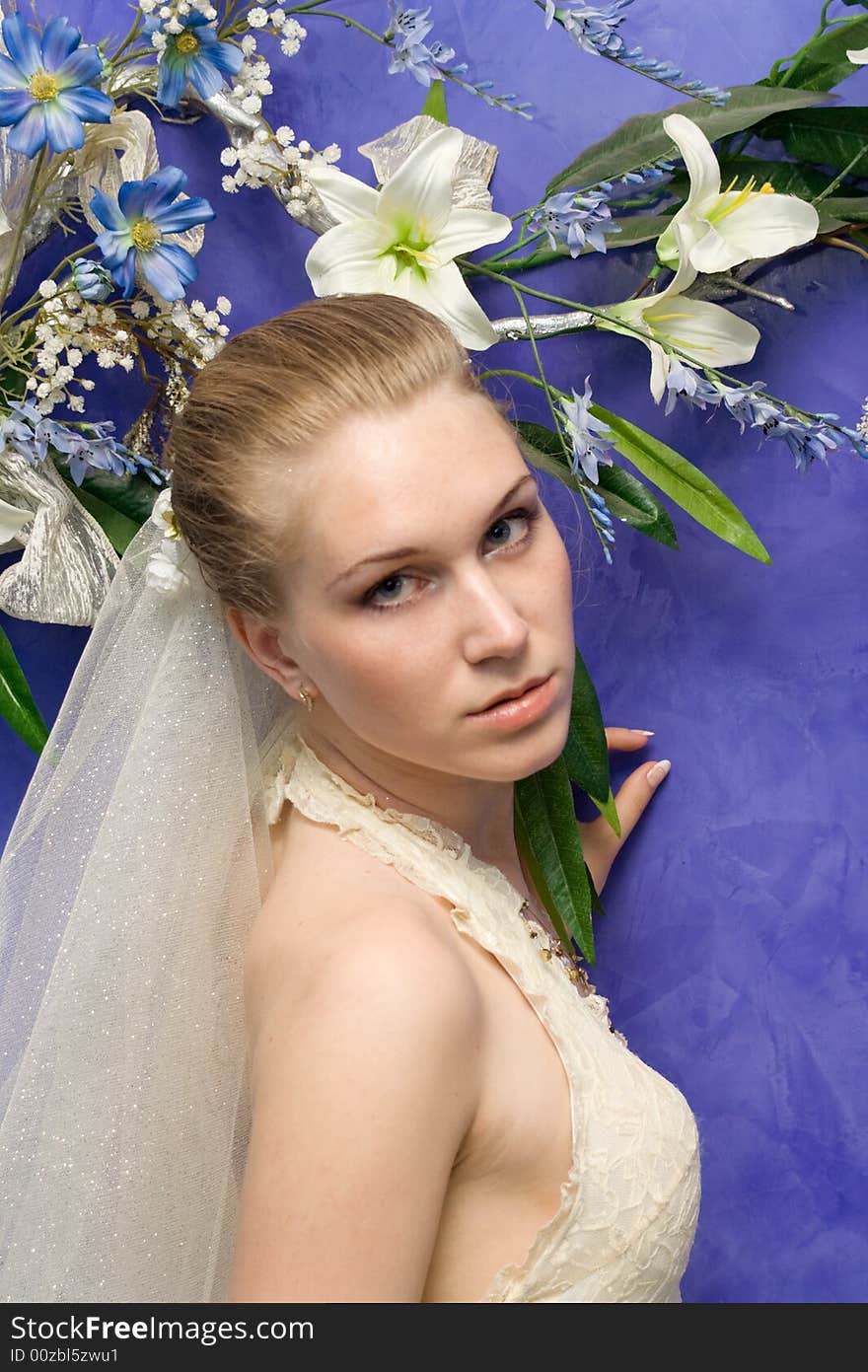 Wedding portrait of the bride, on a dark blue background