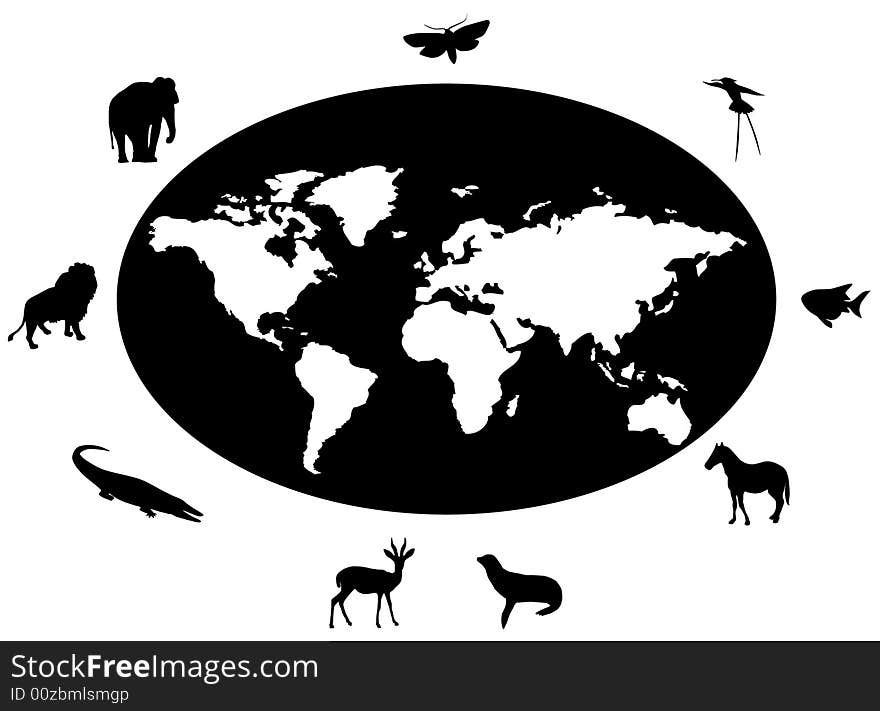 Animals In The World