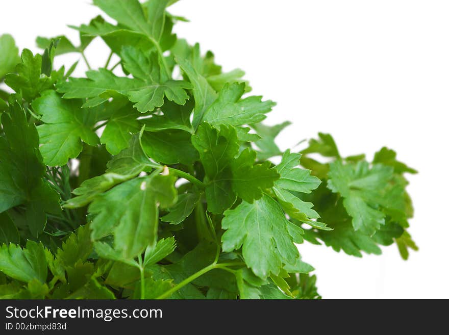 Fine herbs isolated on white. Fine herbs isolated on white