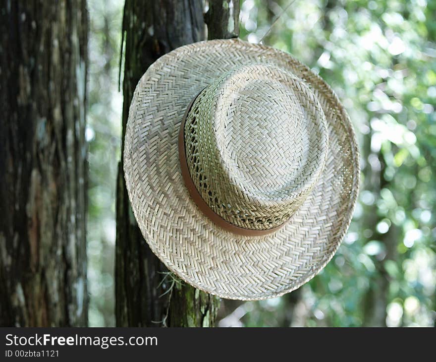 Photo of a straw hat hanging in a tree right side