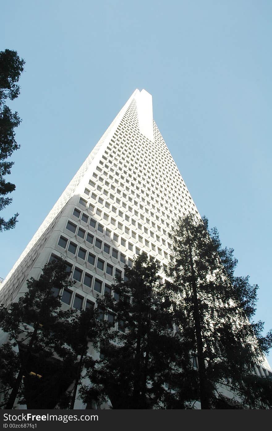 Transamerica Building in San Francisco, California on a beautiful sunny day in march 2008