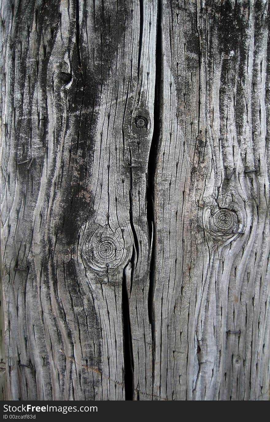 Black and white cracked wood