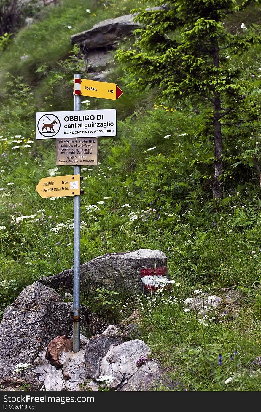 A panoramic view of landscapes, animals and equipment of the mountain