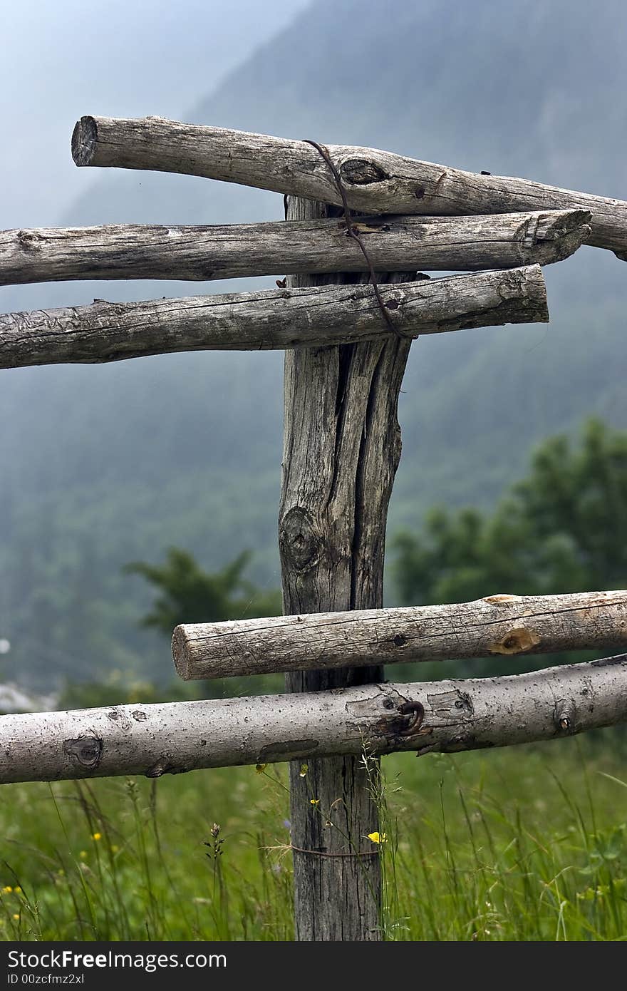 A panoramic view of landscapes, animals and equipment of the mountain