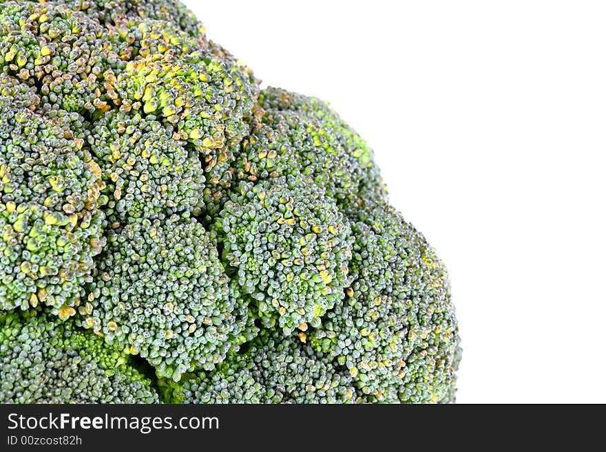 Close up view of the broccoli on white