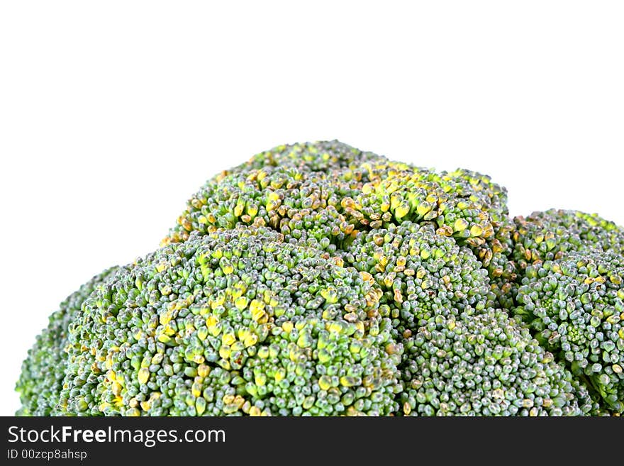 Close up view of the broccoli on white