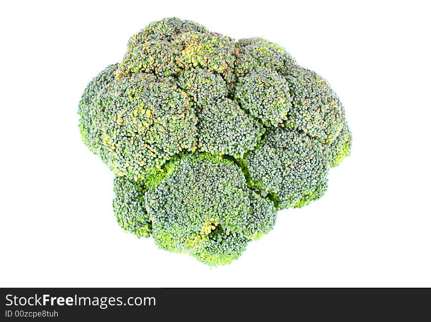 Close up view of the broccoli on white