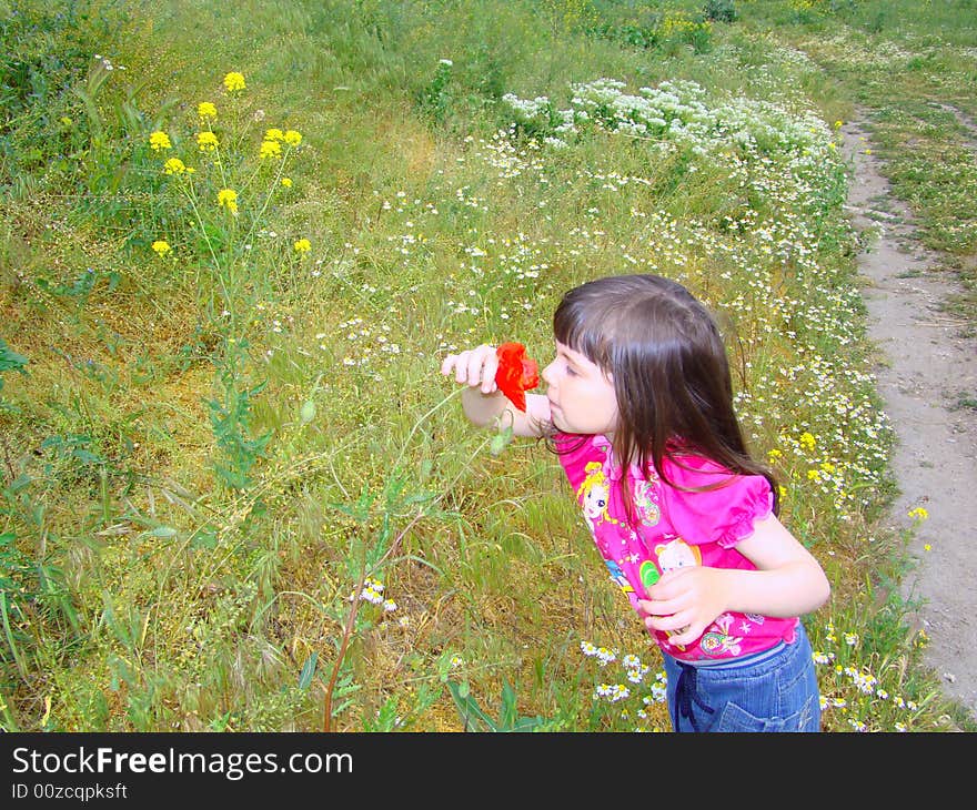 Little girl breathes in the aroma of poppy. Little girl breathes in the aroma of poppy.