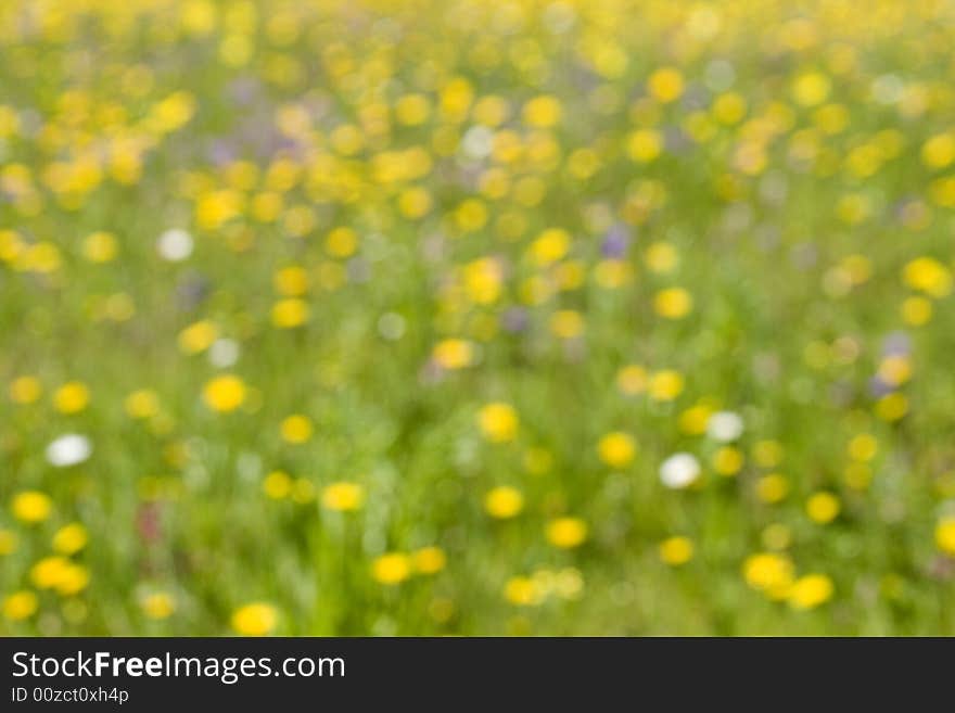 Abstract blured colourful meadow background