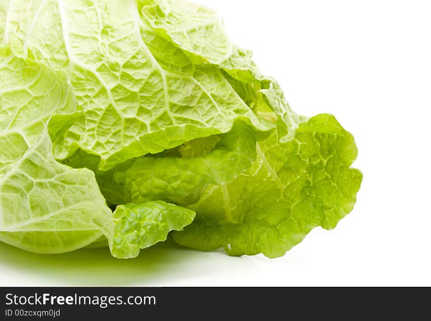 Fresh celery cabbage