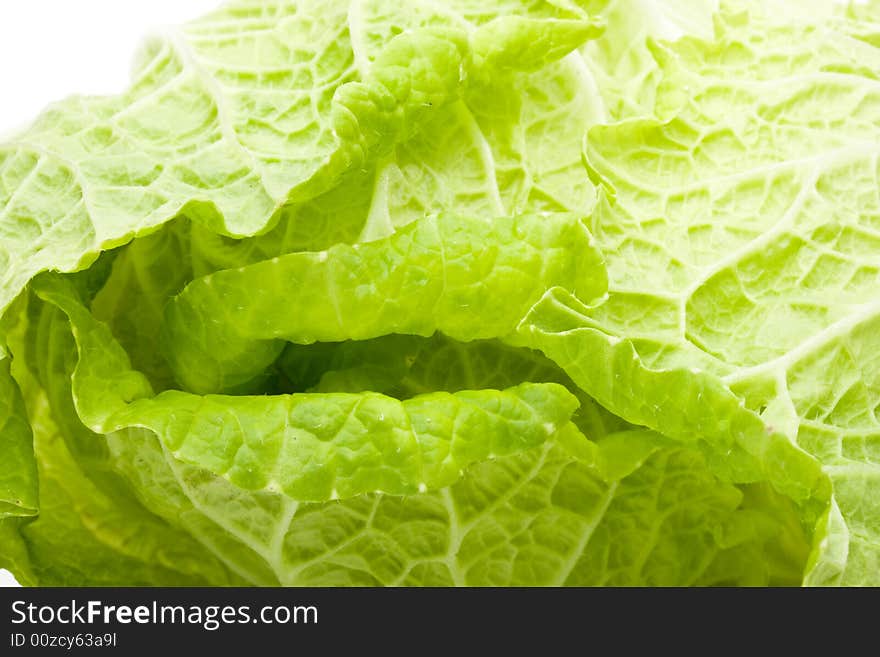 Fresh celery cabbage