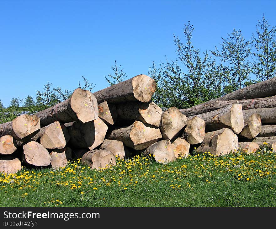 Pile of wood logs stacked outdoors