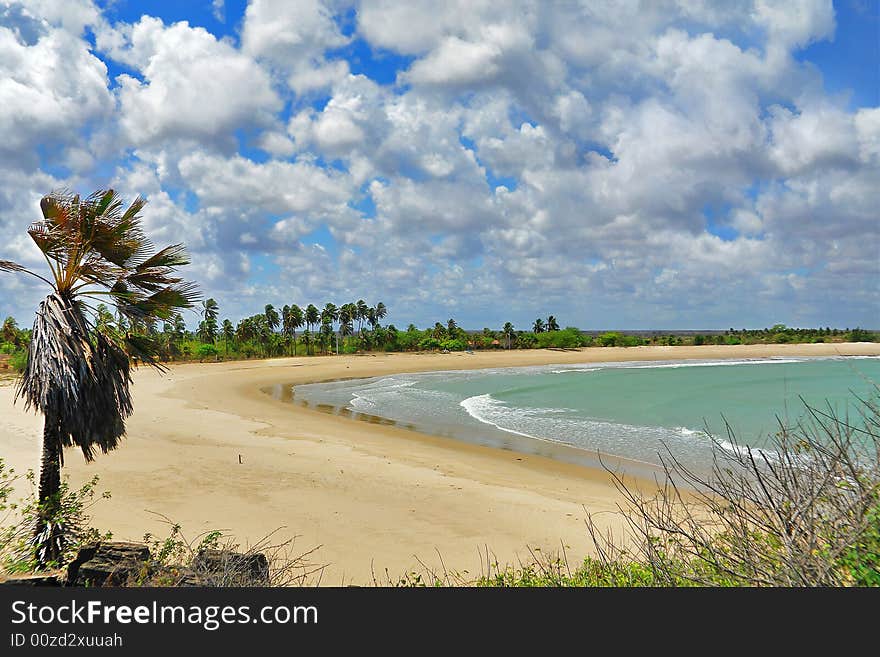 Tropical landscape bay view at Brazil. Tropical landscape bay view at Brazil