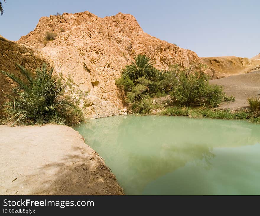 Water and Oasis on the desert