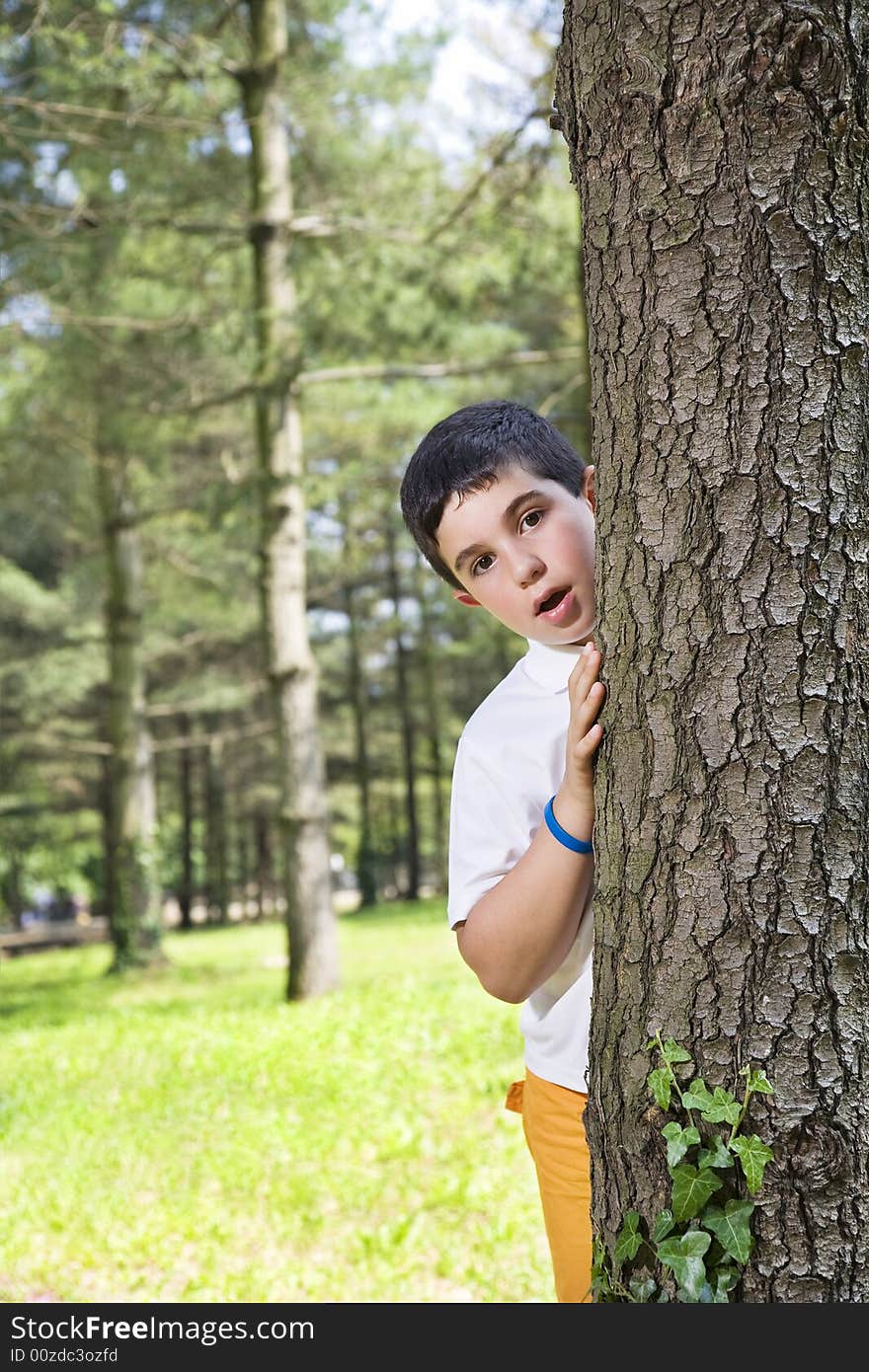 Portrait of young boy behind tree at park playing hide and seek. Portrait of young boy behind tree at park playing hide and seek