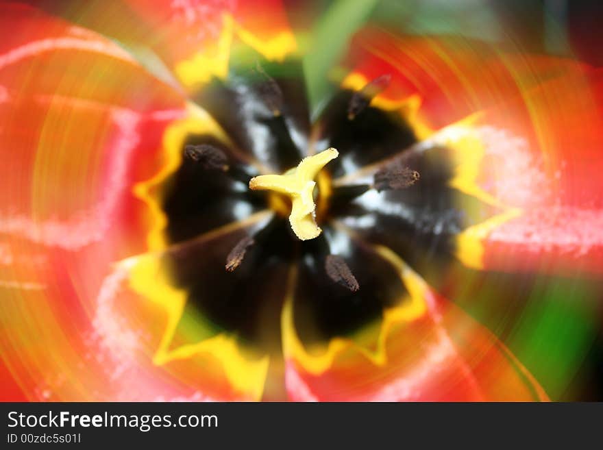 Fantastic flower with varicoloured texture in the manner of background abstract scene