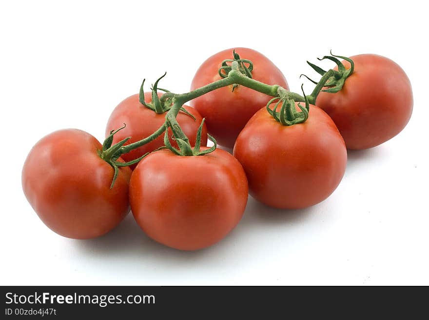 Tomatoes on branch isolated on white