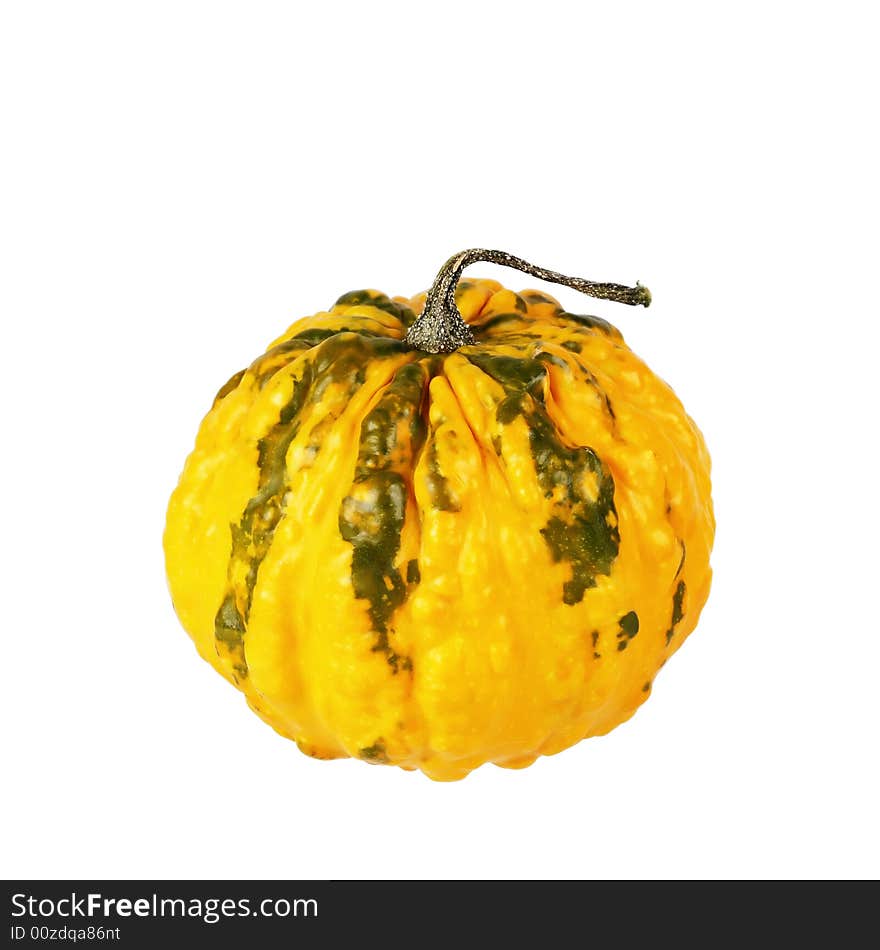 Pumpkin